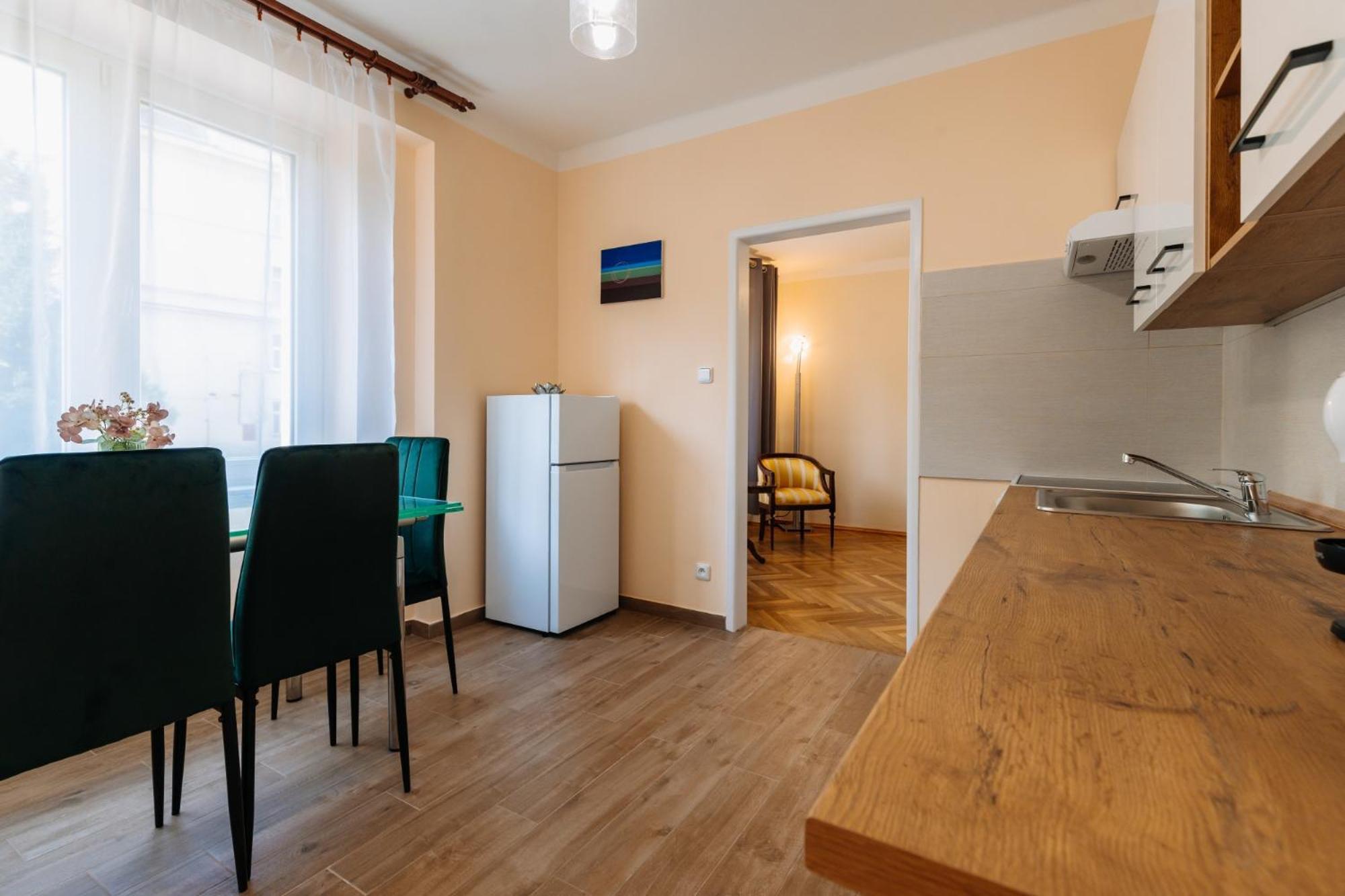 Apartments Tgm 11 Karlovy Vary Esterno foto